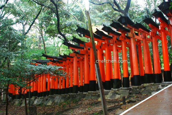 Torii Pathway @ Fushimi Inari Taisha, Kyoto